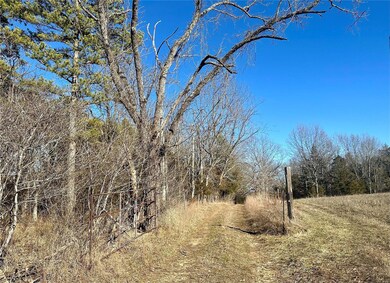 0 Maries County 518 Rd unit 23006790, Rolla, MO 65401 - photo 5