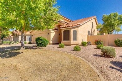 04-Saddleback