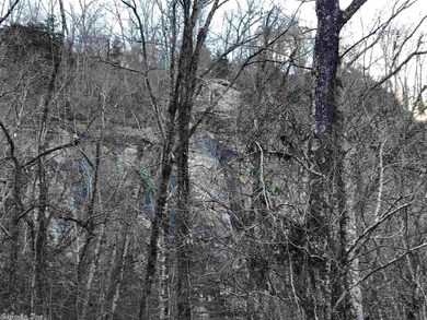 00 Arkansas 337, Heber Springs, AR 72543 - photo 7