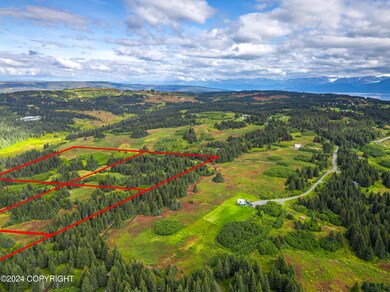 L14 Nka Crossman Ridge Ave, Homer, AK 99603 - photo 6