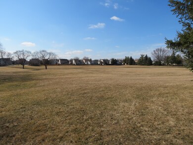 Neighborhood View