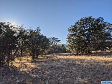 21 Vesuvius Way, Silver City, NM 88061 - photo 6