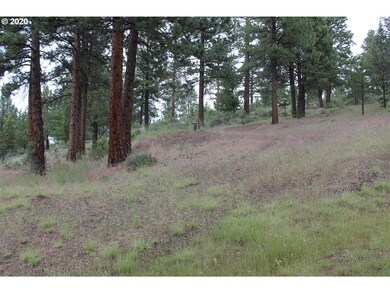0 Pineview Ln, Canyon City, OR 97820 - photo 6