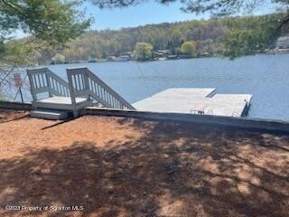 Pole 115 Lakeside Dr, Harveys Lake, PA 18618 - photo 5