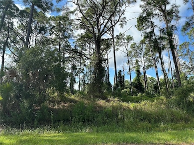 3 Abend Ave, North Port, FL 34286 - photo 3