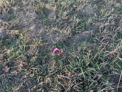 Pink flag where stake it