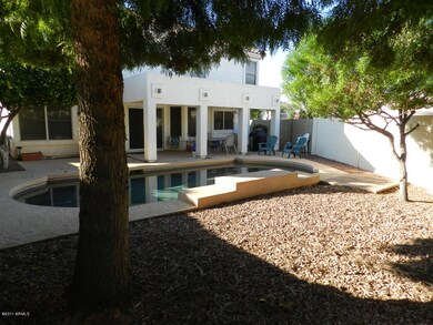 BACK YARD & POOL