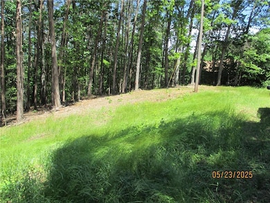 View of local wilderness