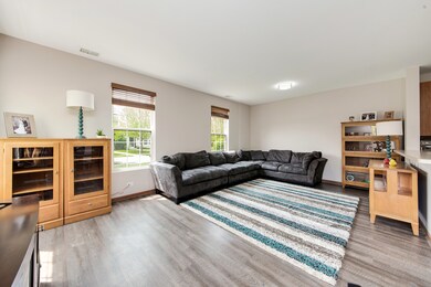 115 Springbrook Trail S, Oswego, IL 60543 - photo 4