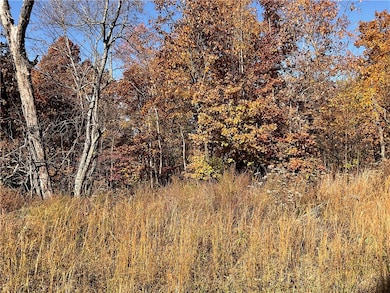 TBD Kinloch Dr, Bella Vista, AR 72715 - photo 3