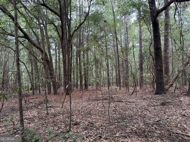 102 Circle Dr, East Dublin, GA 31027 - photo 6