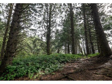 unlisted-address, Lincoln City, OR 97367 - photo 5