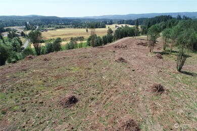 334 State Route 506, Toledo, WA 98591 - photo 6