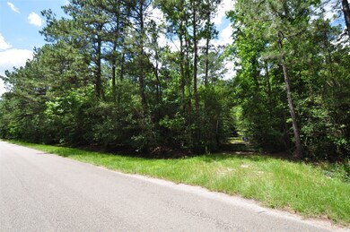 10106 Seneca Trail, Magnolia, TX 77354 - photo 2