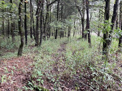 Tbd 0030 Goats Bluff Summerfield Oklahoma, Summerfield, OK 74966 - photo 3