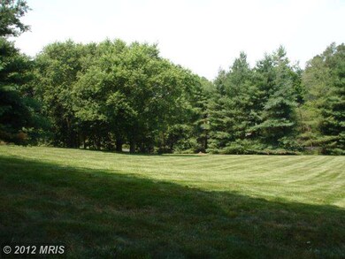 3016 Rectortown Rd, Marshall, VA 20115 - photo 7