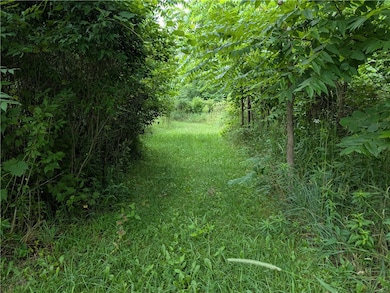 14671 Lime Kiln Rd, Albion, NY 14411 - photo 7