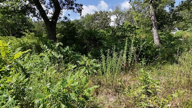 lots walnut u 7-6-25