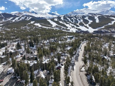 1173 Ski Hill Rd unit 131, Breckenridge, CO 80424 - photo 2