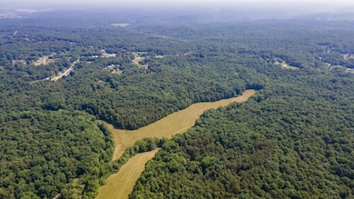 0 Goodrich Rd unit RTC3049525, Nunnelly, TN 37137 - photo 3