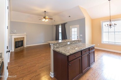 Kitchen/Family Room