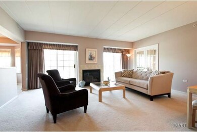 14100 Sheffield Dr unit 101, Homer Glen, IL 60491 - photo 3