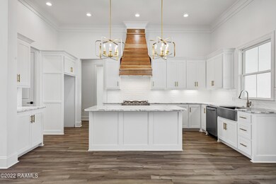 311 Canary Palm -6