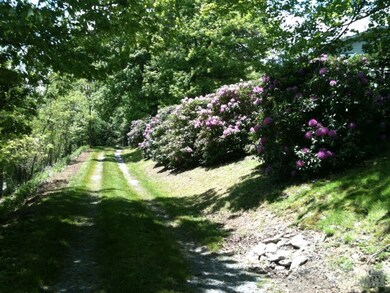 Lovely Driveway