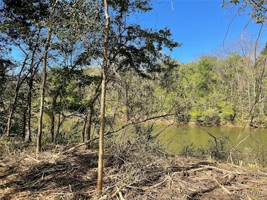 115 Cahaba View Dr, Selma, AL 36702 - photo 3