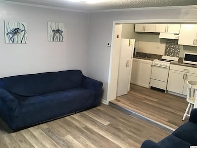 1211 King St, Myrtle Beach, SC 29577 - photo 4