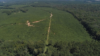 13.9 + - Ac Awebreys Gin Rd, Franklin, GA 30217 - photo 3