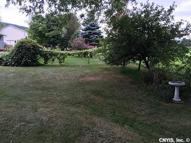 Yard.