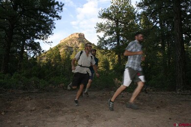 0 Aster Ln unit 723523, Durango, CO 81301 - photo 4