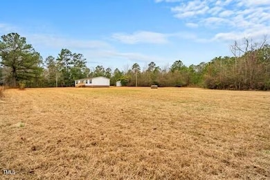 4210 Scronce Rd, Harrells, NC 28444 - photo 4