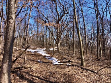 XX57 E Burns Valley Rd, Wilson Township, MN 55987 - photo 7