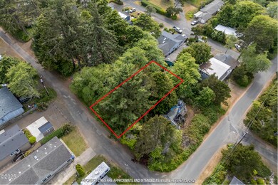 NANCY AVE BARE GROUND (6)