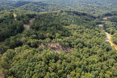 Lot 315 Pebble Trace, Talking Rock, GA 30175 - photo 4