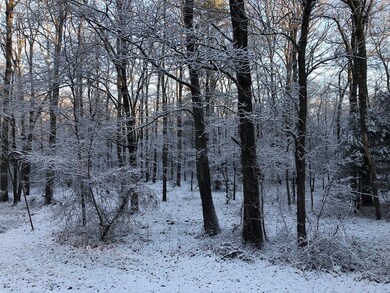 2 Bird Ln, Sharon, MA 02067 - photo 3