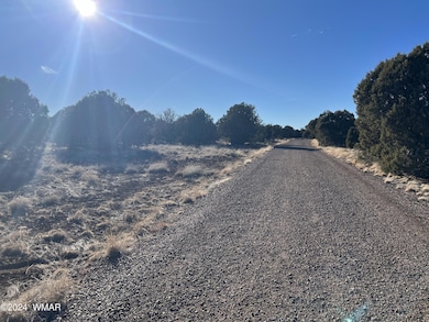 2036 Sitgreaves Ranch Rd, Show Low, AZ 85901 - photo 7