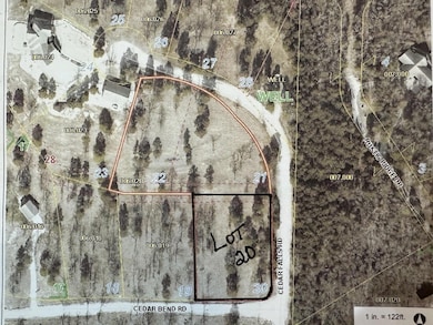 20 Cedar Falls Rd, Shell Knob, MO 65747 - photo 2