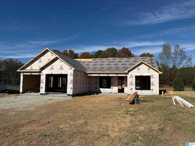 4121 Bagwell Way, Dora, AL 35062 - photo 4