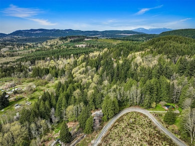 21445 Starbird Rd, Mount Vernon, WA 98274 - photo 5