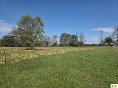 2485 Palestine Rd, Campbellsville, KY 42718 - photo 2