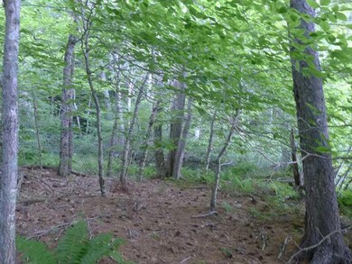 0 Wooster Farm Road and Route105, Camden, ME 04843 - photo 5