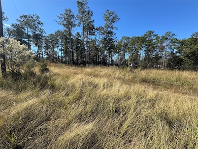 064 Private Road 6026 Tract 1-64, Brookeland, TX 75931 - photo 4