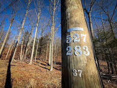 0 Langford Creek Rd unit LotWP002, van Etten, NY 14889 - photo 6