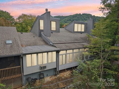 429 Mountains Blvd unit C-102, Lake Lure, NC 28746 - photo 7