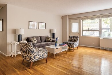 Hammond Park Condominiums unit 108, Chestnut Hill, MA 02467 - photo 3