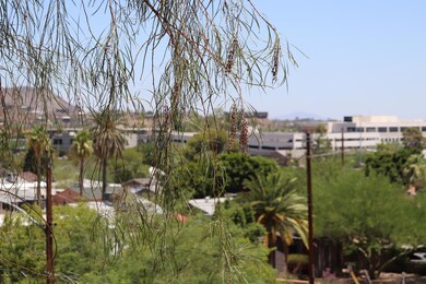 MORE VIEWS