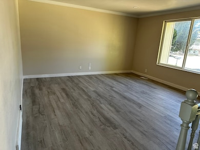 Family room with ornamental molding